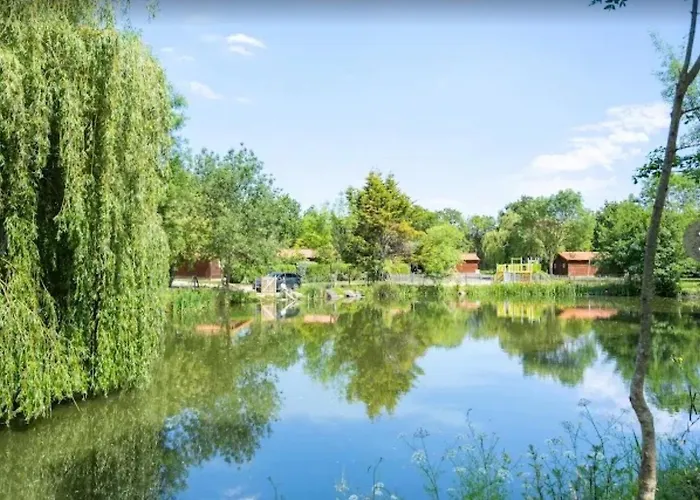 Kamp alanı Confort 14 *